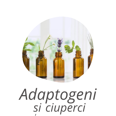 categoria adaptogeni si ciuperci